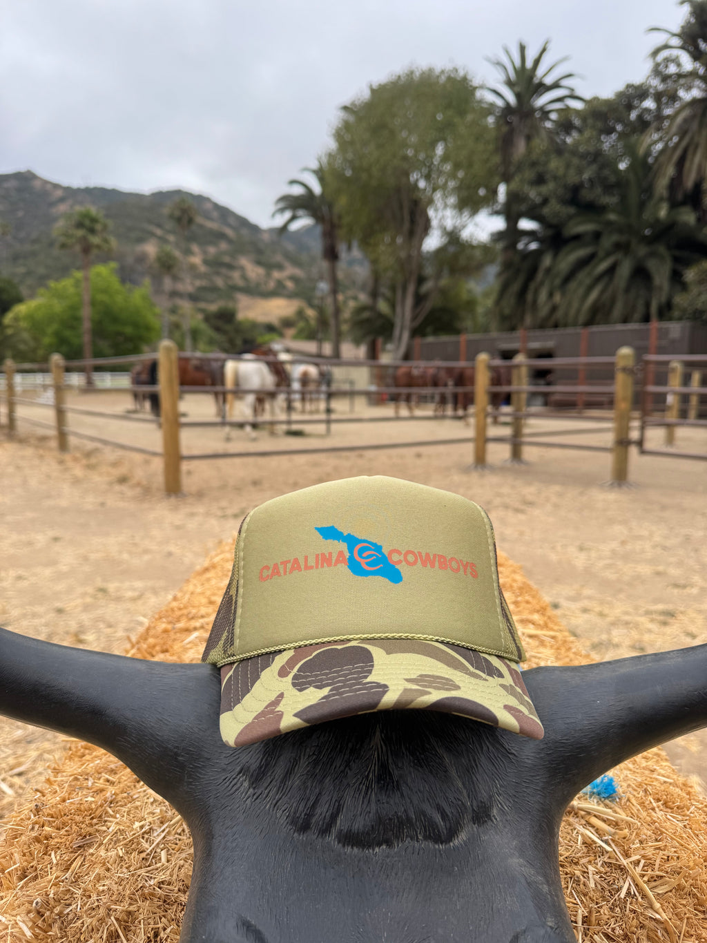 Catalina Cowboys Island Trucker