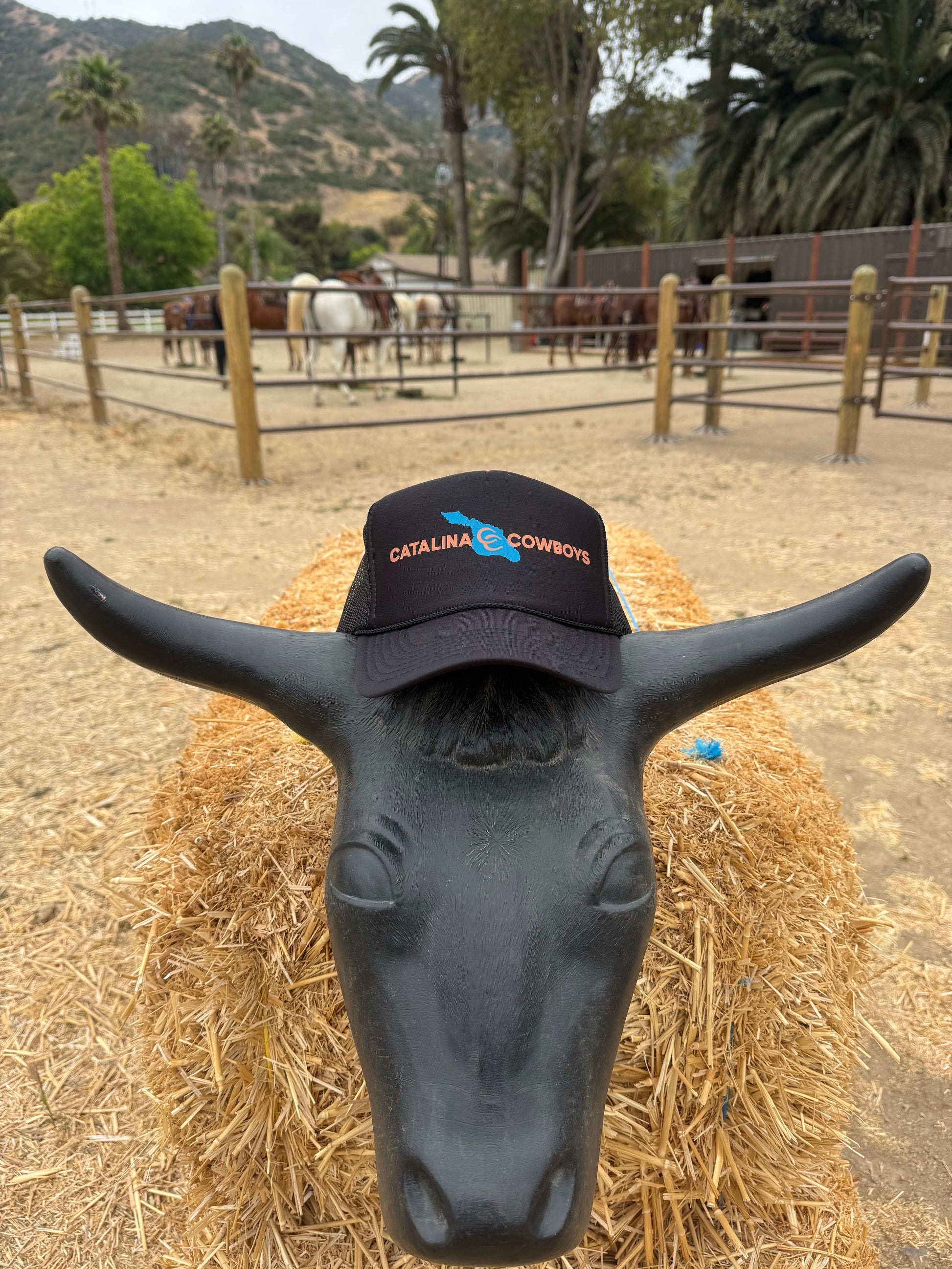 Catalina Cowboys Island Trucker