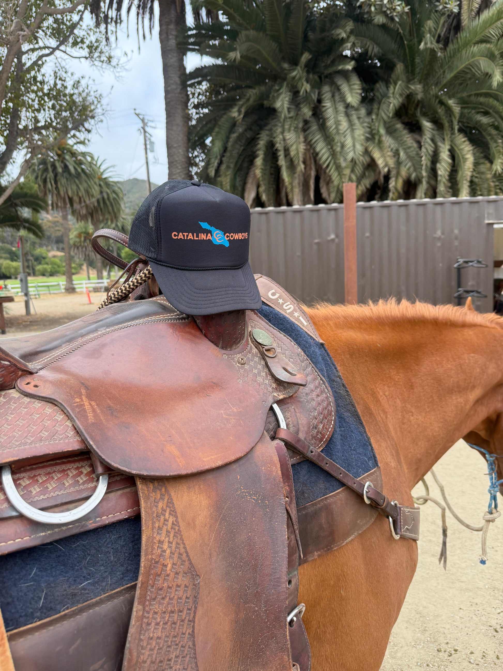 Catalina Cowboys Island Trucker