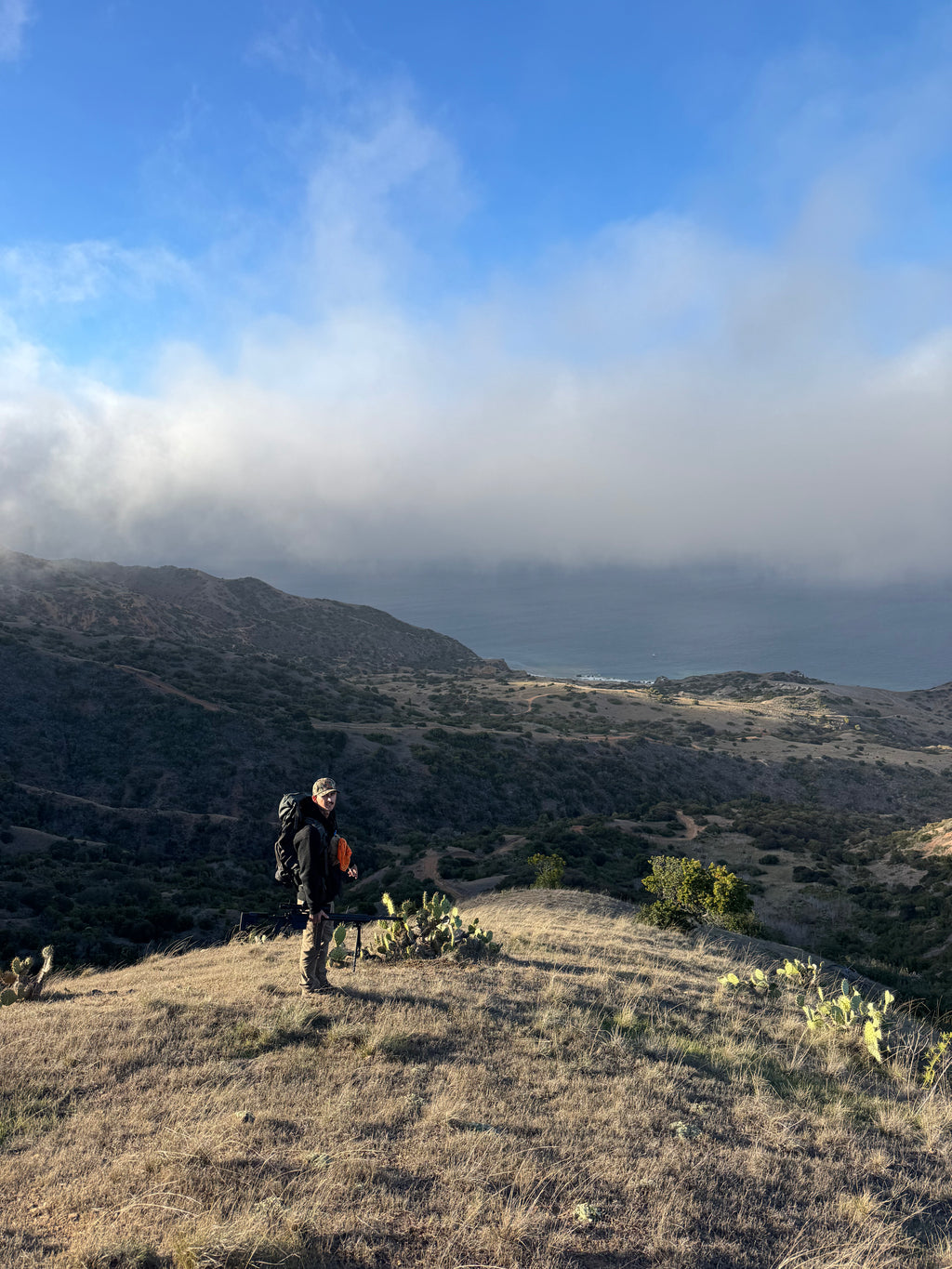 Flying Fish Roping Hoodie