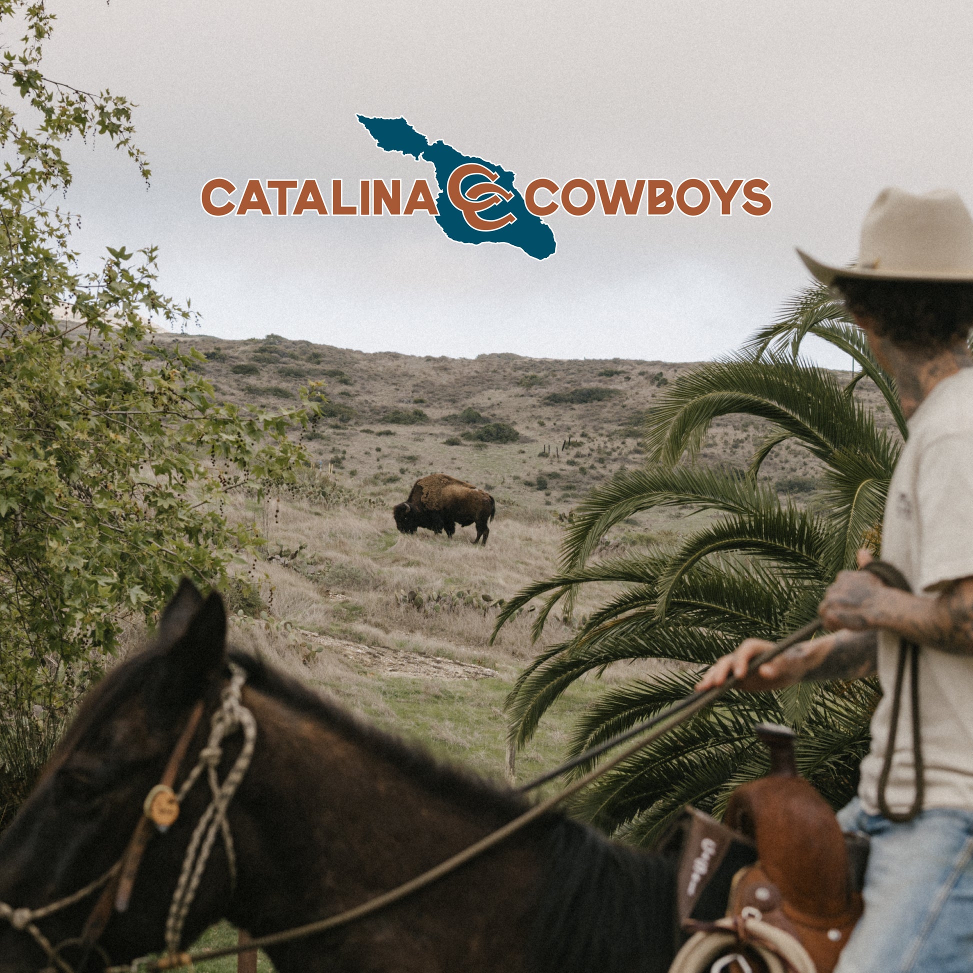 Catalina Cowboys Island Trucker